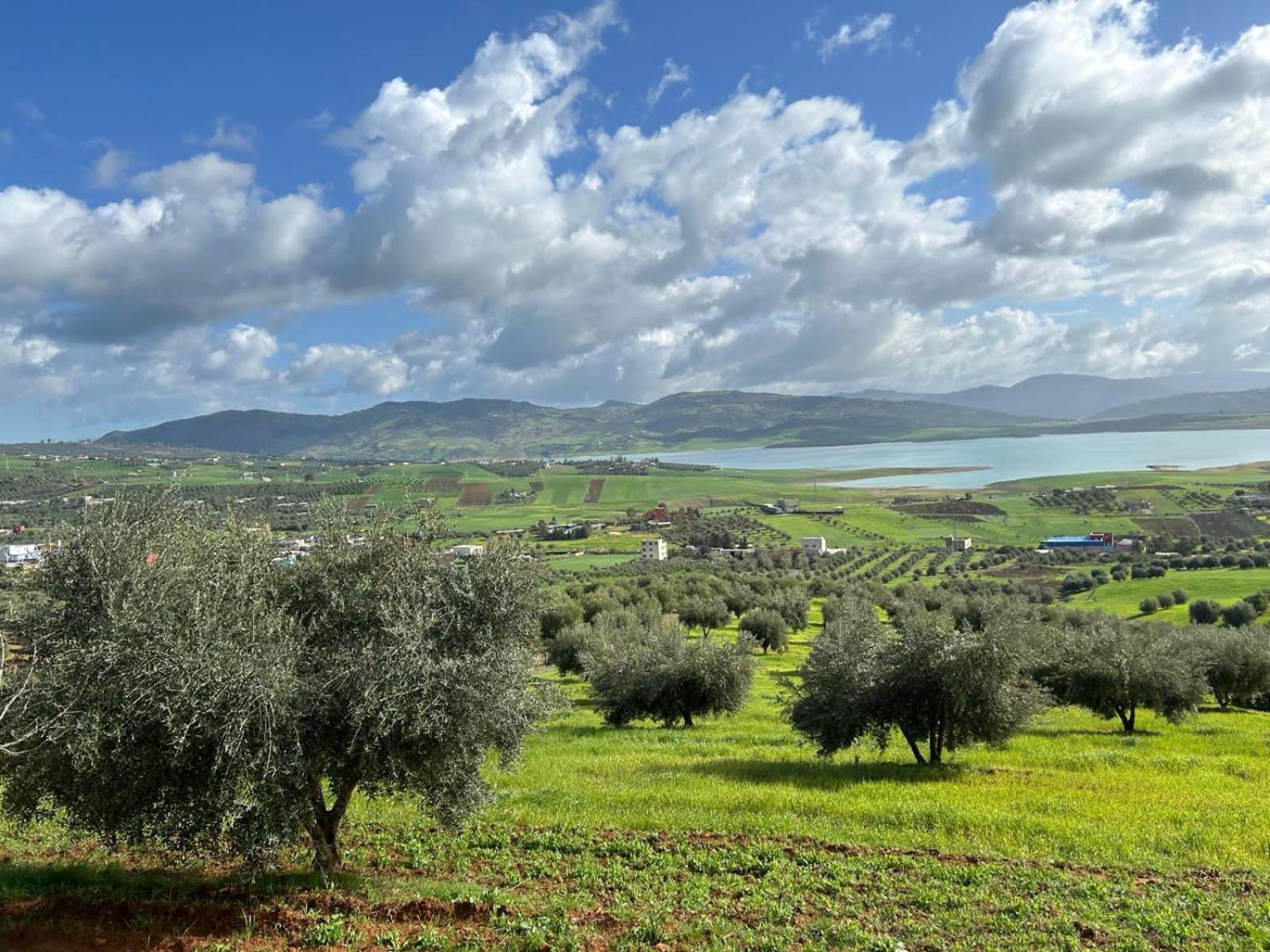 דירות Ouazzane La Belle Etoile מראה חיצוני תמונה