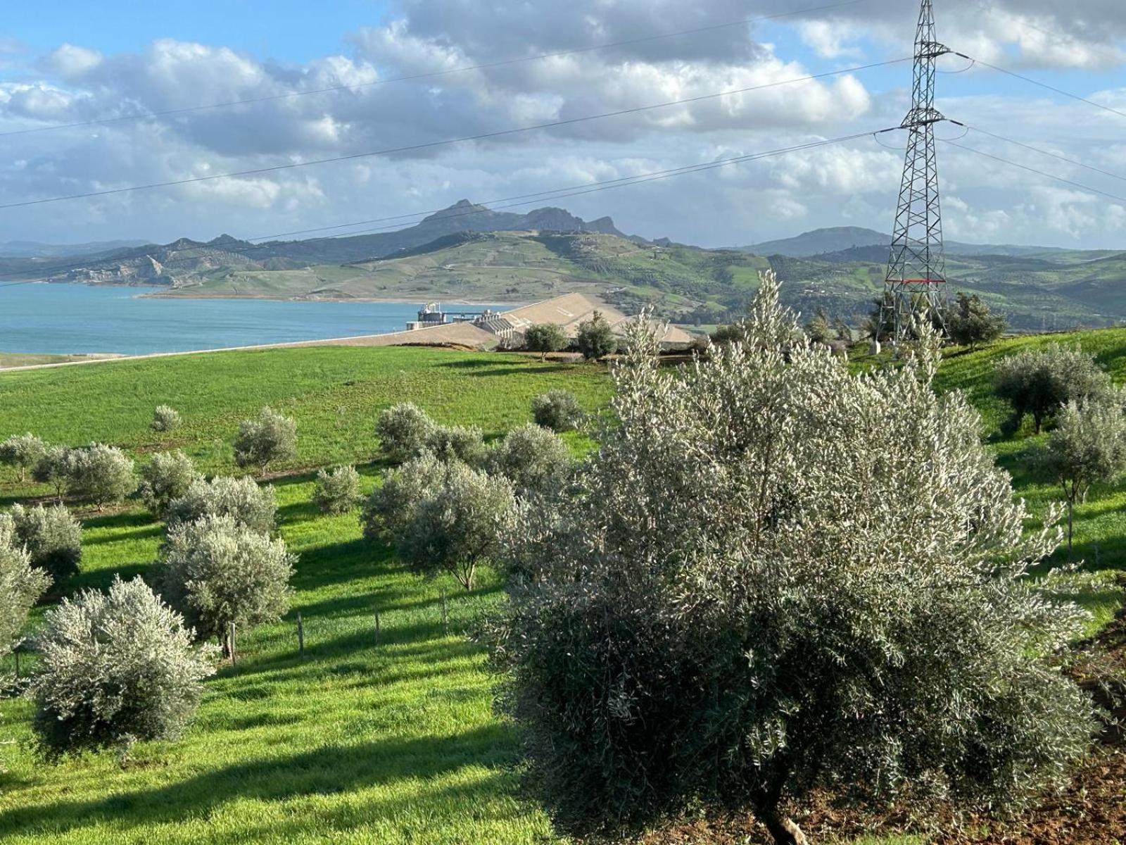 דירות Ouazzane La Belle Etoile מראה חיצוני תמונה