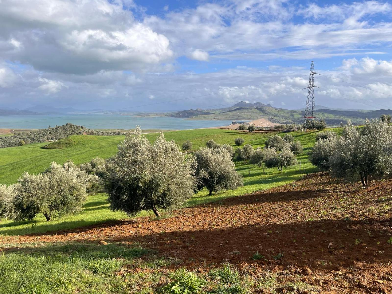 דירות Ouazzane La Belle Etoile מראה חיצוני תמונה